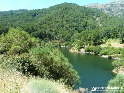 Pinares Angostura, Piedralaves; senderismo y montaña;senderos madrid;excursiones senderismo